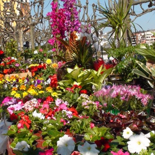 Andoflora Feria de Plantas y Flores en Andorra