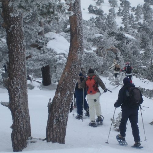 Paseos con raquetas de nieve