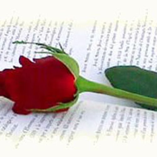 Sant Jordi en Andorra - San Jorge en Andorra